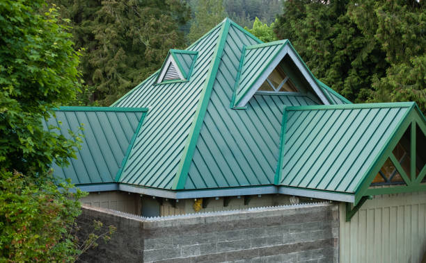 Best Roof Moss and Algae Removal  in Camano, WA